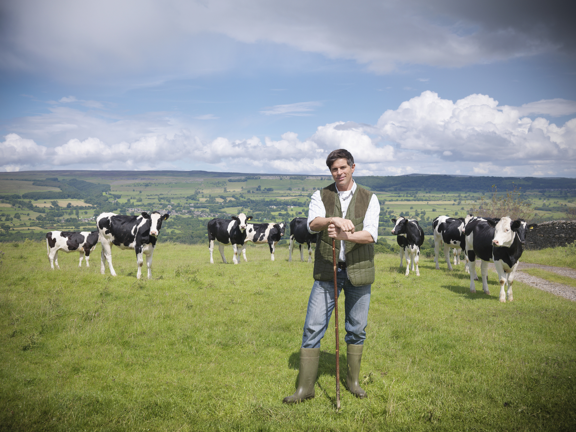 Portrait of farmer and cows in field