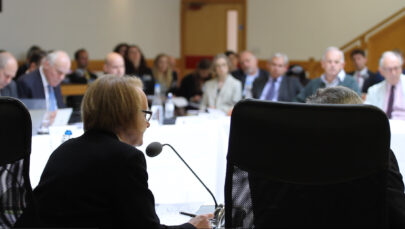 An Inspector speaking to a panel, at a hearing