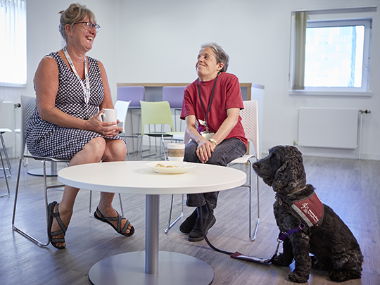 Department for Work and Pensions Health and Wellbeing Support