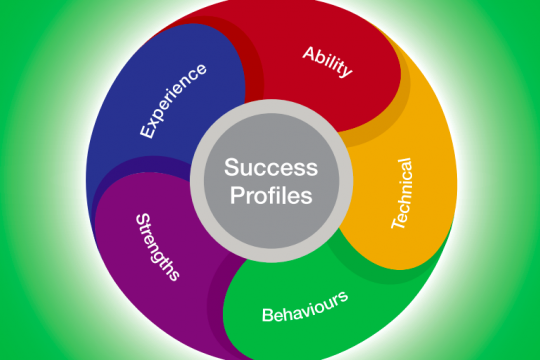 Success profiles wheel, showing the five markers used during recruitment to assess candidates; ability, technical, behaviours, strengths and experience