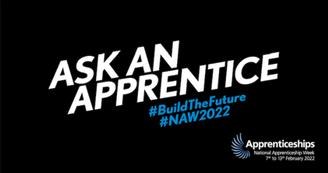 Ask an apprentice graphic