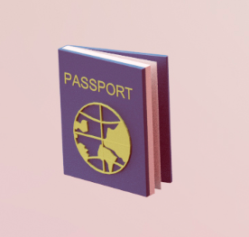 Graphic representation of a passport
