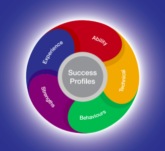 success profiles wheel