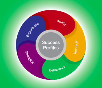 success profiles wheel