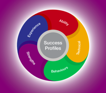 success profiles wheel
