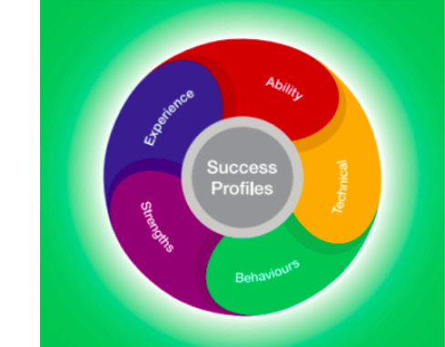 Decorative image: an infographic showing the Civil Service Success profiles wheel, which shows the following words: Experience, Ability, Behaviour, Technical, Strengths
