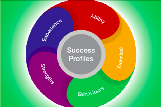 Infographic of the Success profiles wheel. The wheel contains words that read