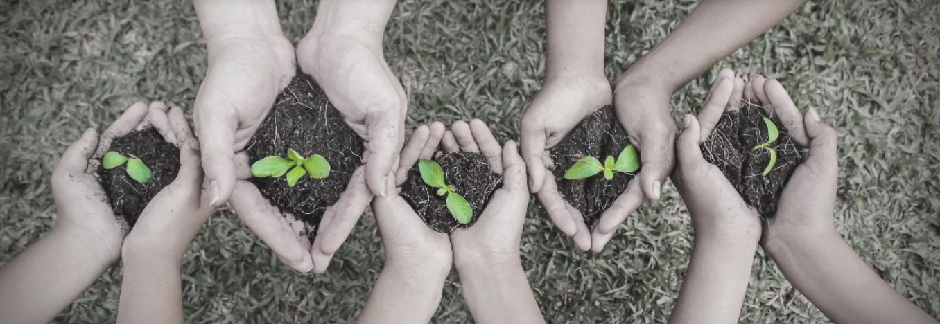 Decorative image: five pairs of hands, each holding soil and a seedling