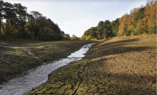 A stream bisecting a dry landscape, with trees along either side