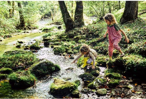 Two children playing in the forest, near a stream. They are dressed for summer.