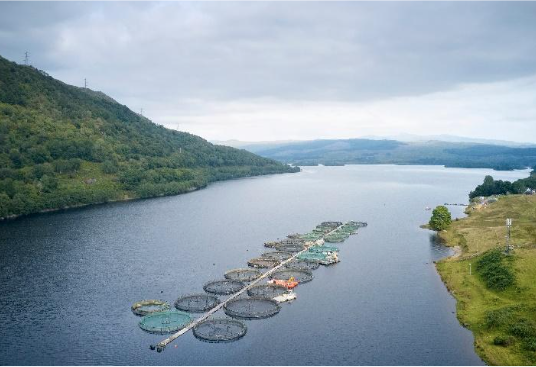 A salmon farm