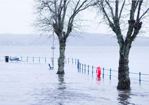 Flooded coastline, with a bench half submerged and the top of railings just visible