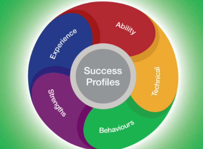 Decorative image: Success profiles wheel. The wheel is split into 5 segments, they are labelled: Ability, Technical, Behaviours, Strengths, Experience