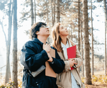 Two civil servants in a sunny forest, looking up into the pine trees whilst holding clipboards.
