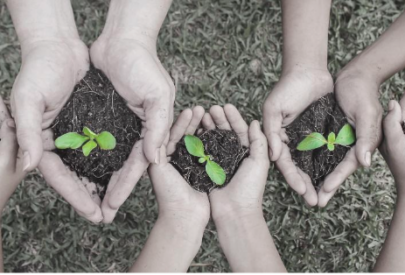 Decorative image: five pairs of hands, each holding soil and a seedling