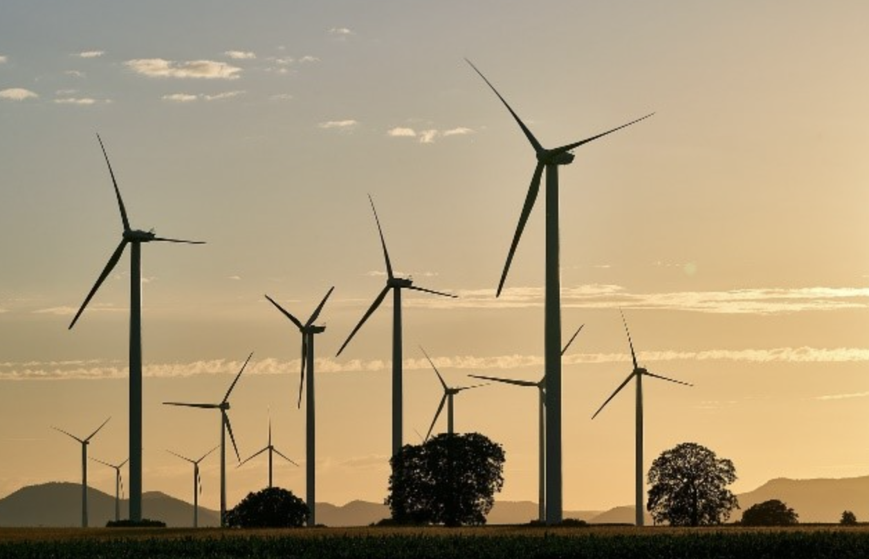 Wind turbines in a field, silhouetted against a beige morning sky