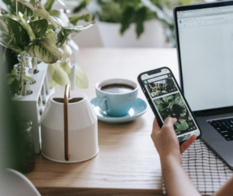 A person holding a mobile phone, scrolling photos of plants