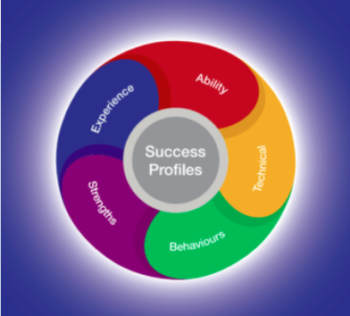 Image of a circle reading 'Success profiles' enclosed within a multicolored ring of the separate success profile titles.
The image background matches the colour associated with 'Strengths'