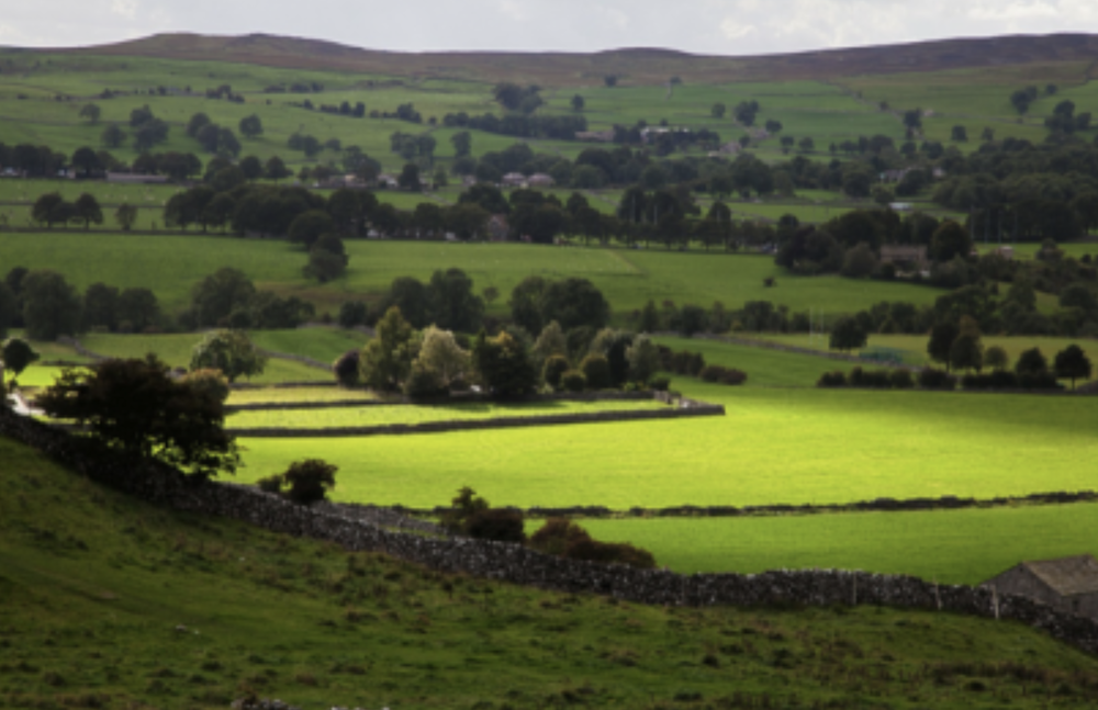 Image of green rolling hills and countryside