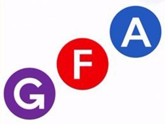 Government Finance Academy Logo
