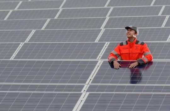 Man Standing Amongst Solar Panels