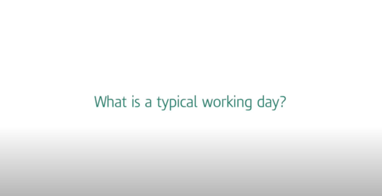What is a typical working day?